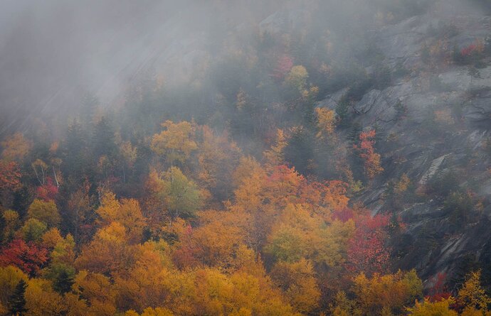 Fog on Sugarloaf