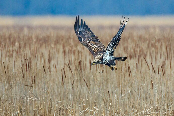 7D2E%202018-04-15-1651_output