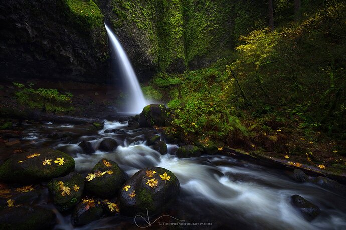AutumnRush_1800