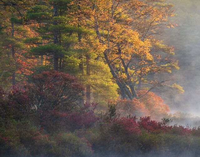 d492a567ed3ae4e1f07a365c29872719a1801b29