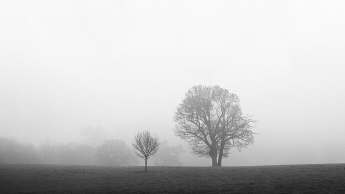Ghosts-1