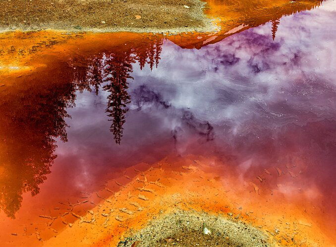 Don Jacobson-Puddle Reflection 19-6375
