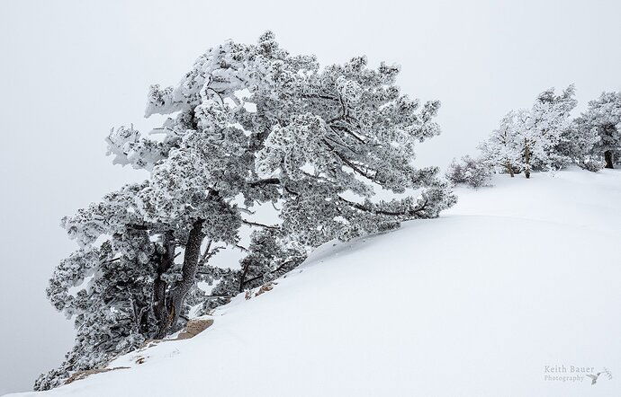 20190314-_E146078-Edit-copy