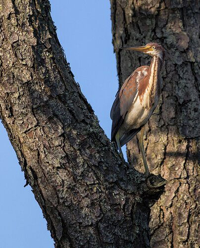 64d6d8d715b17f972192dc2c621933f623c61e25-copy