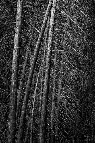 3cc6fa845bff0682fdf661ed199b070c11c74ee4_copy