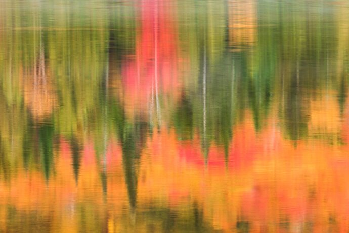 Jobs%20Pond%20Abstract