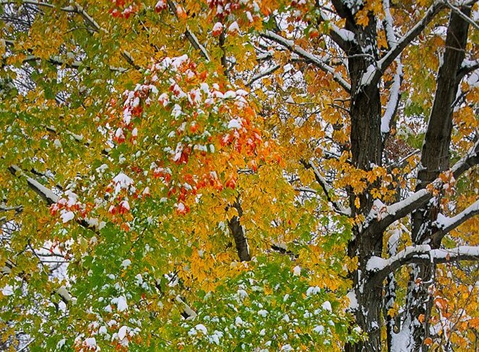 90115f56412664642499a0feb54c98577f48ae48%20copy