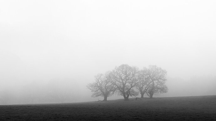 Ghosts-2