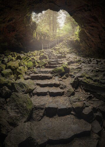 79AEB85F-71E7-4D2D-82E7-712973230804