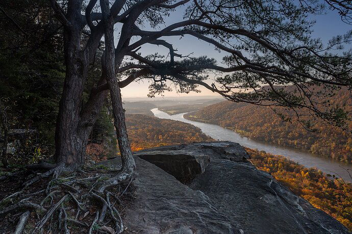 Roots-and-River-Website