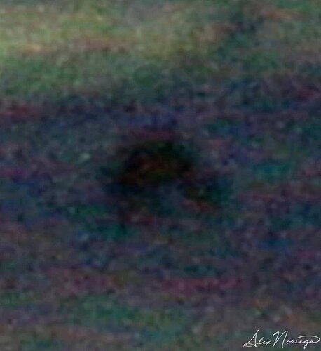 53470902_10101480357545260_553176201288482816_o