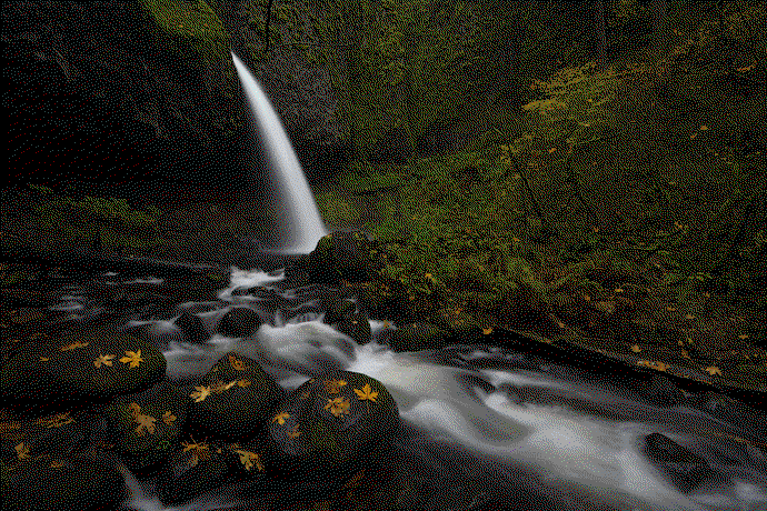 AutumnRush_beforeafter