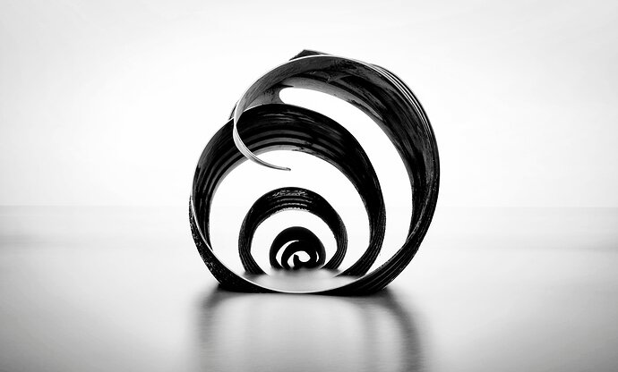 MarysShellMono-0001