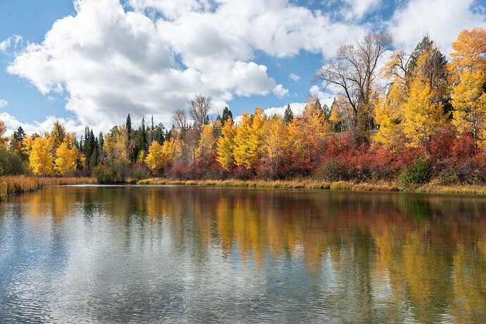 Grand%20Tetons%20Fall%202%20(1%20of%201)