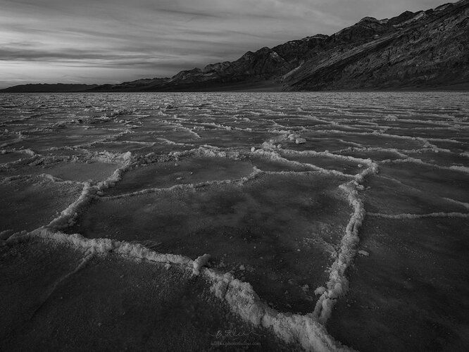 _DSC3949-Edit-Edit-r