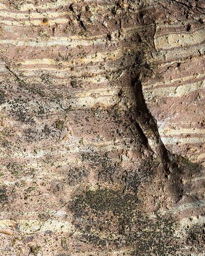 -20190215-5DIM7198-untitled-Editlarge%20npn