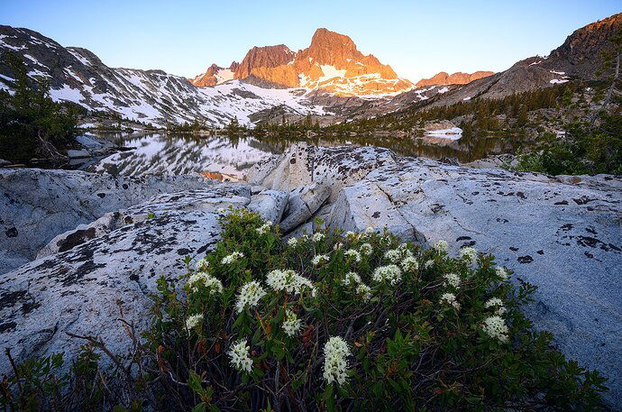 Garnet-Lake-Flowers-1080-Contrast-Boost