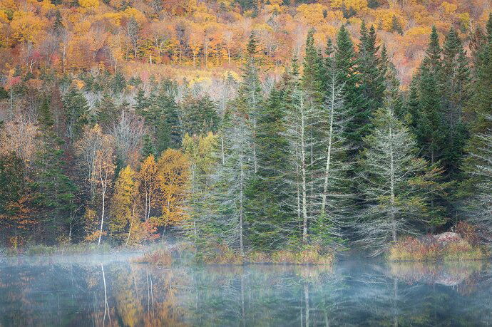 NH%20Pond%20Original