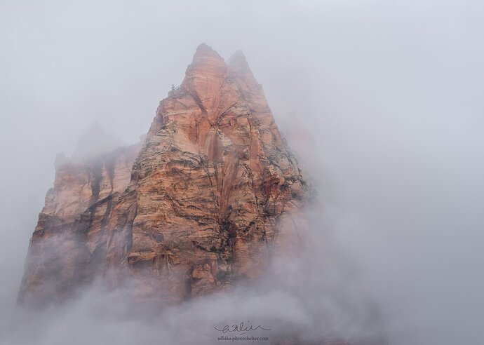 _DSC4919-Edit-r
