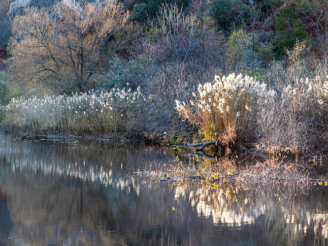 BluffMosaicReflections1I