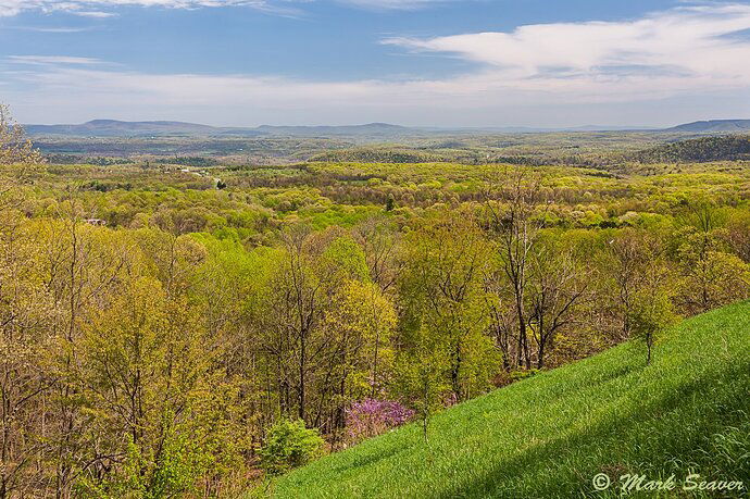 Maryland%20Spring%20Colors