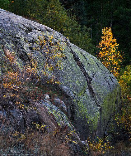 Mineral-King-colorful-rock-and-trees-copy-3