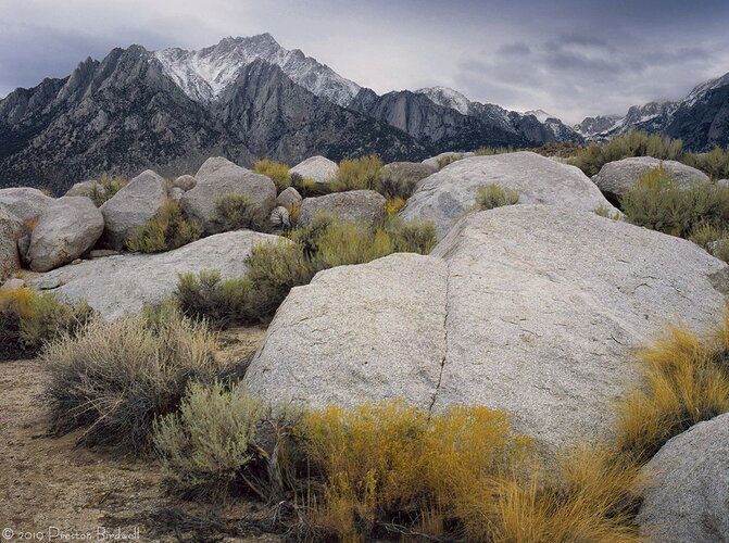 MF-102-1-645-new-NPN-1