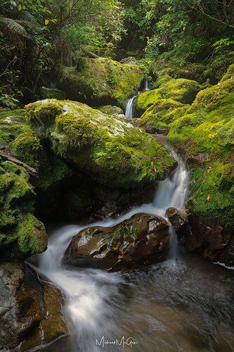 Akatawara%202%20copy