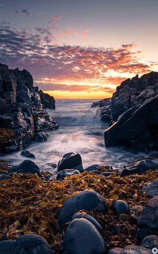 bombo%20quarry%20sunrise%20-%20seaweed