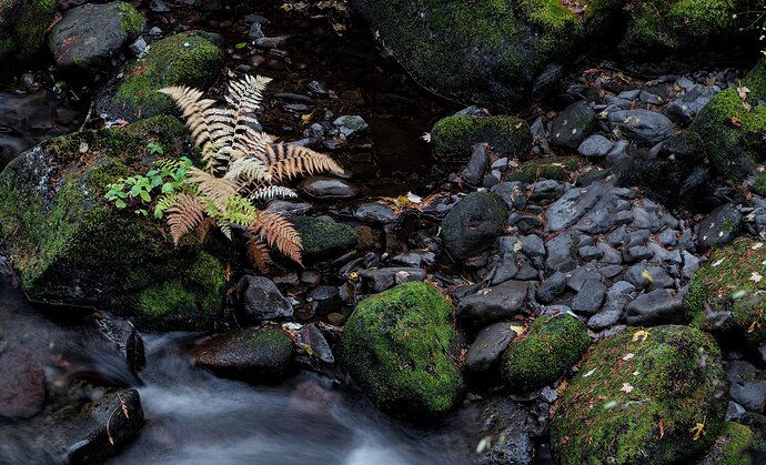 b0648461c308000d6444bf84ce884d61eb468987-2%20copy