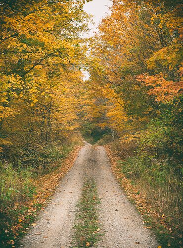 CN_Autumn%20Road