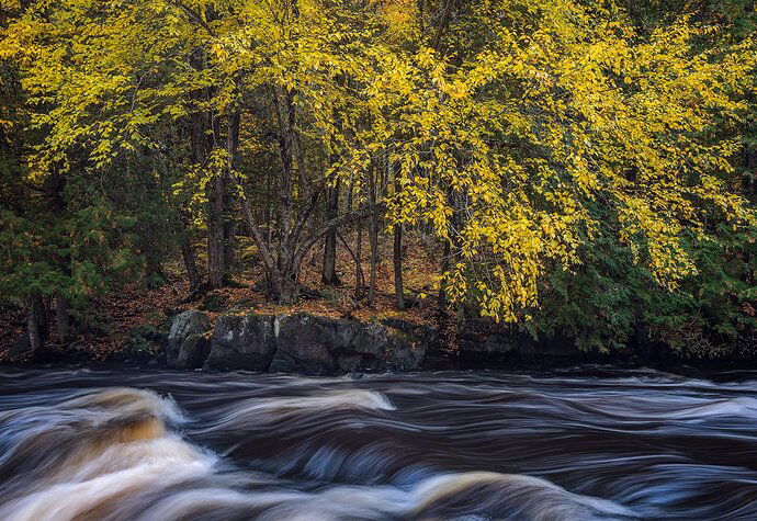 20181007_Chequamegon-Nicolet%20NF_brentgoesoutside_2