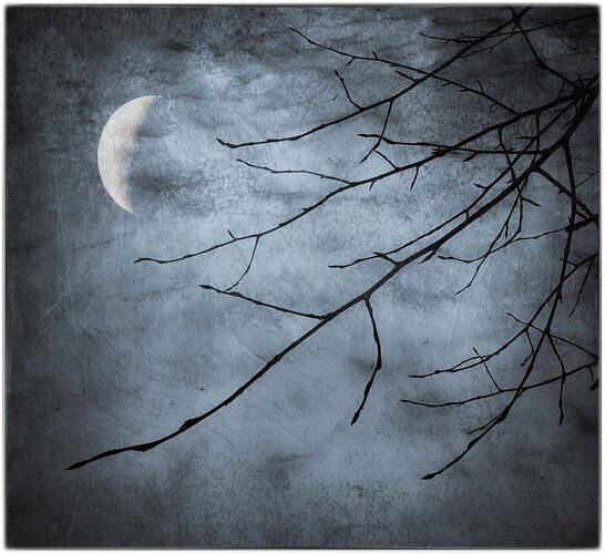 winter-moon