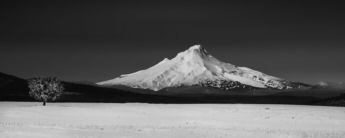 IMG7D10k-0823NIKNPNLarger