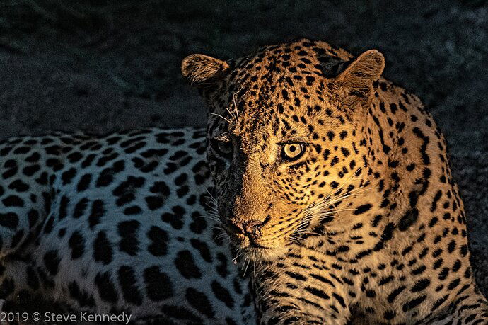 20190412-6256-Edit-2