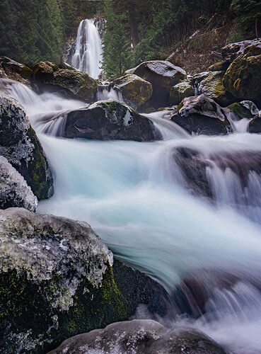 Dusting in the Giff 3