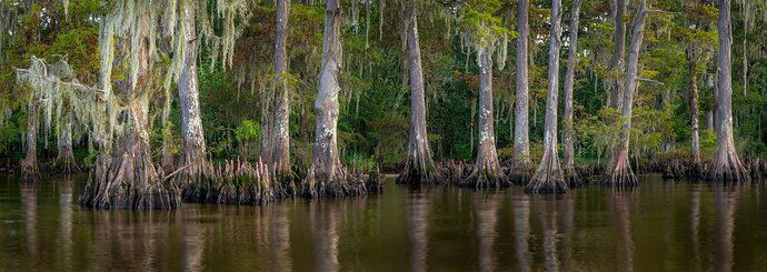 Lou_Manchac20190807DSC_1354-Pano-copyfb