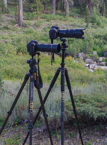 49D2_1628V-npnsticker