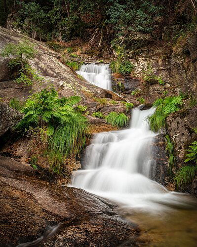 IMG_20190811_004033_334