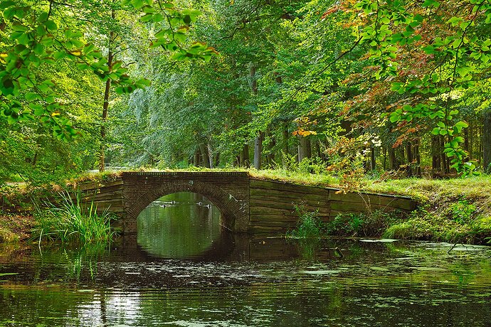 brugbergendef