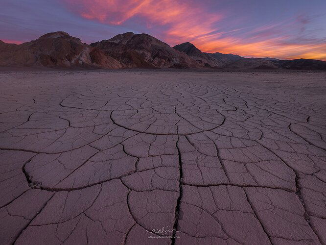 _DSC3615-Edit-r-copy