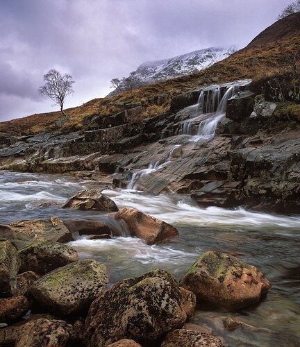 Riverbank%20Etive