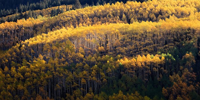 Aspen%20Cascade%20v2%20(1%20of%201)