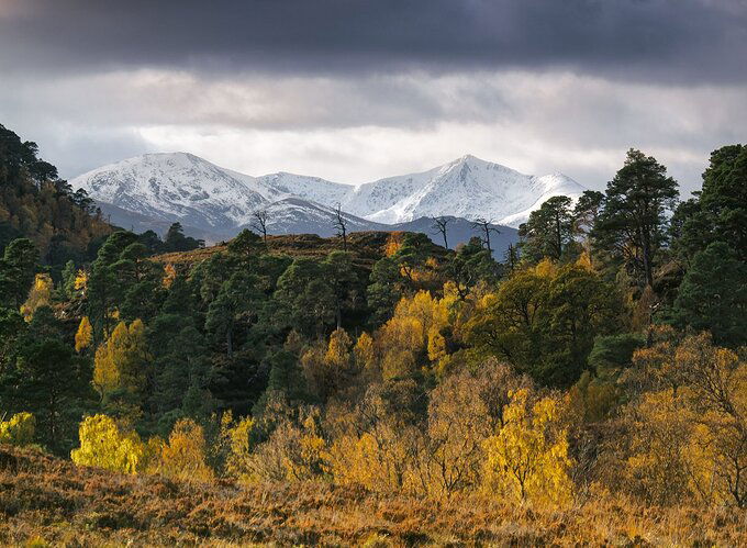 Seasonal%20Transition%20Strathfarrar