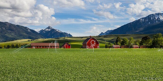 IMG7D10k-1993NPNLarger