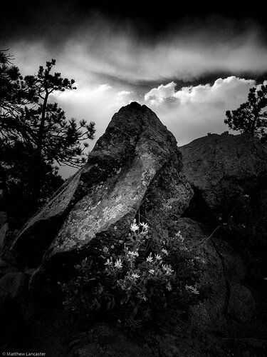 Sanitas-180703-0001_Copy3_layers