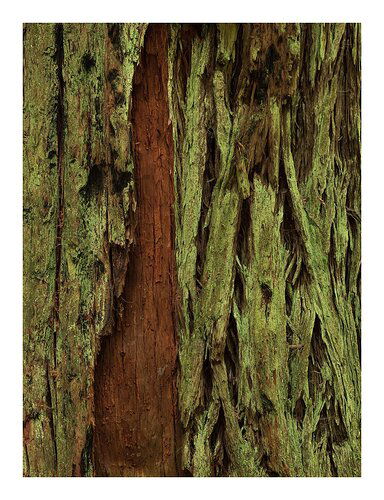 DSC_0430_psd2_1200px-1_copy_copy%202