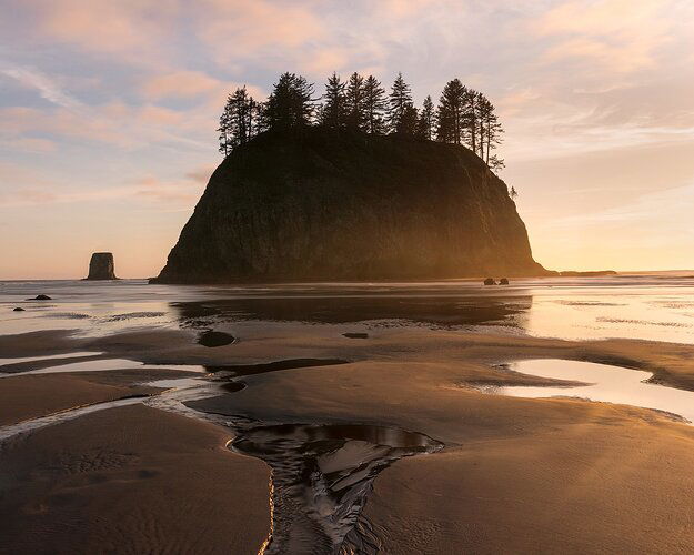 Second-Beach-La-Push-warm-Side-Light-cropped