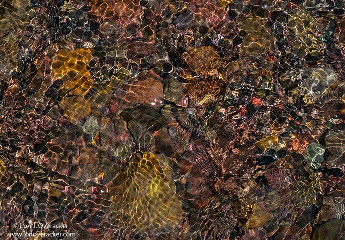 49D2768HCR_1500