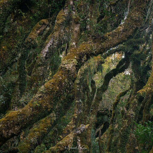_DSC8306-Edit-Ed1it%202k